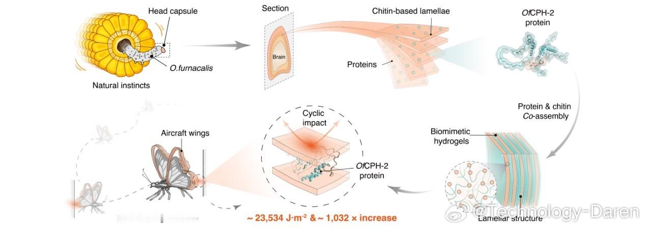 我国科学家成功研制仿生水凝胶抗冲击性能提高超千倍 近日，中国农业科学院深圳农业基