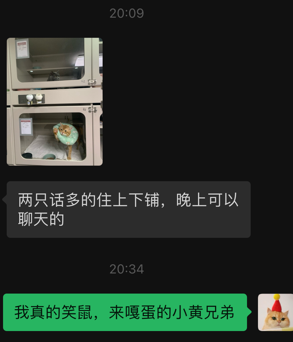 哟，还找到兄弟唠上嗑了[哆啦A梦害怕]#菇冬怎么肥四[超话]# ​​​