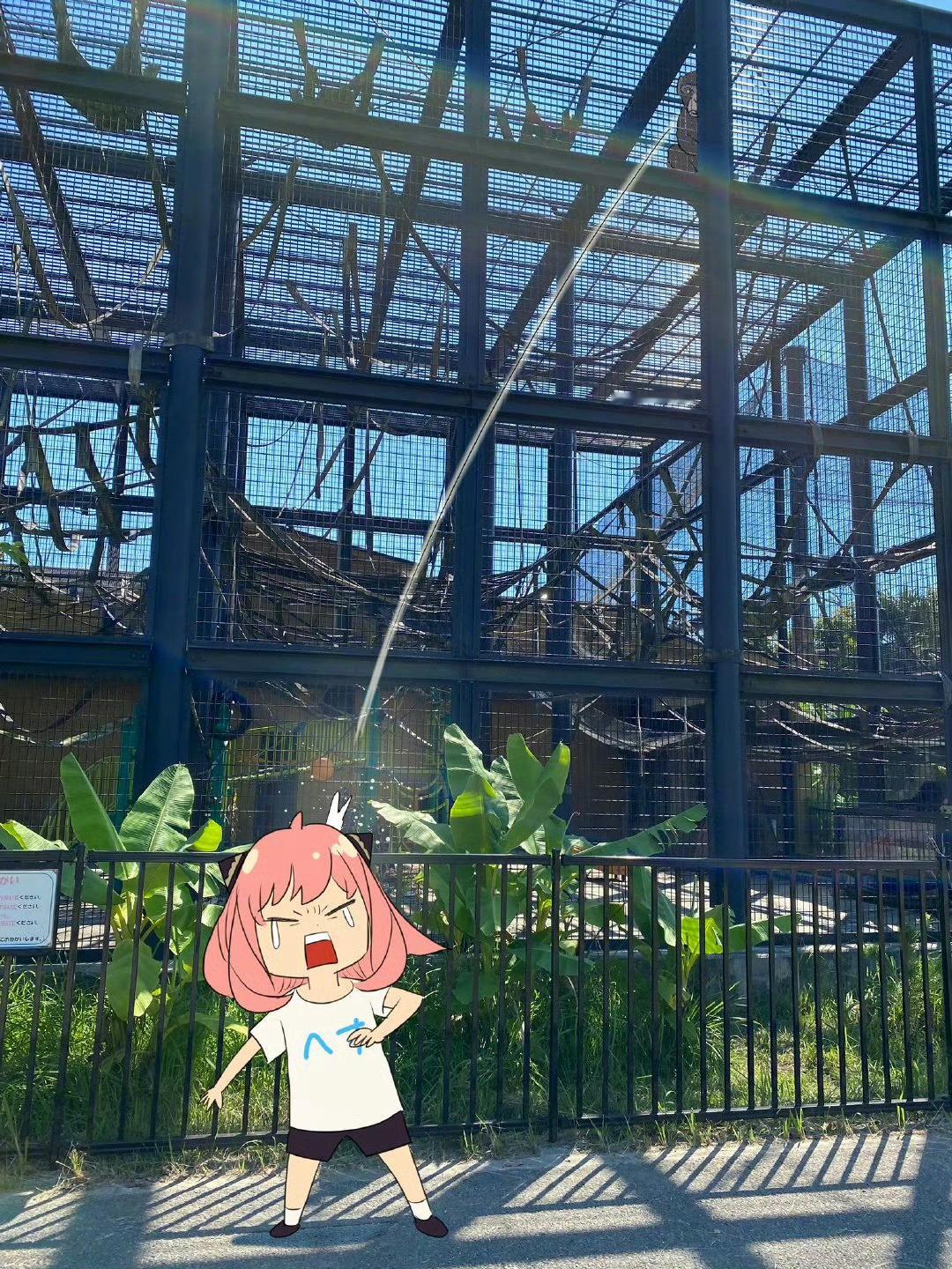 #间谍过家家[超话]##间谍过家家# 可爱女儿 ​​​