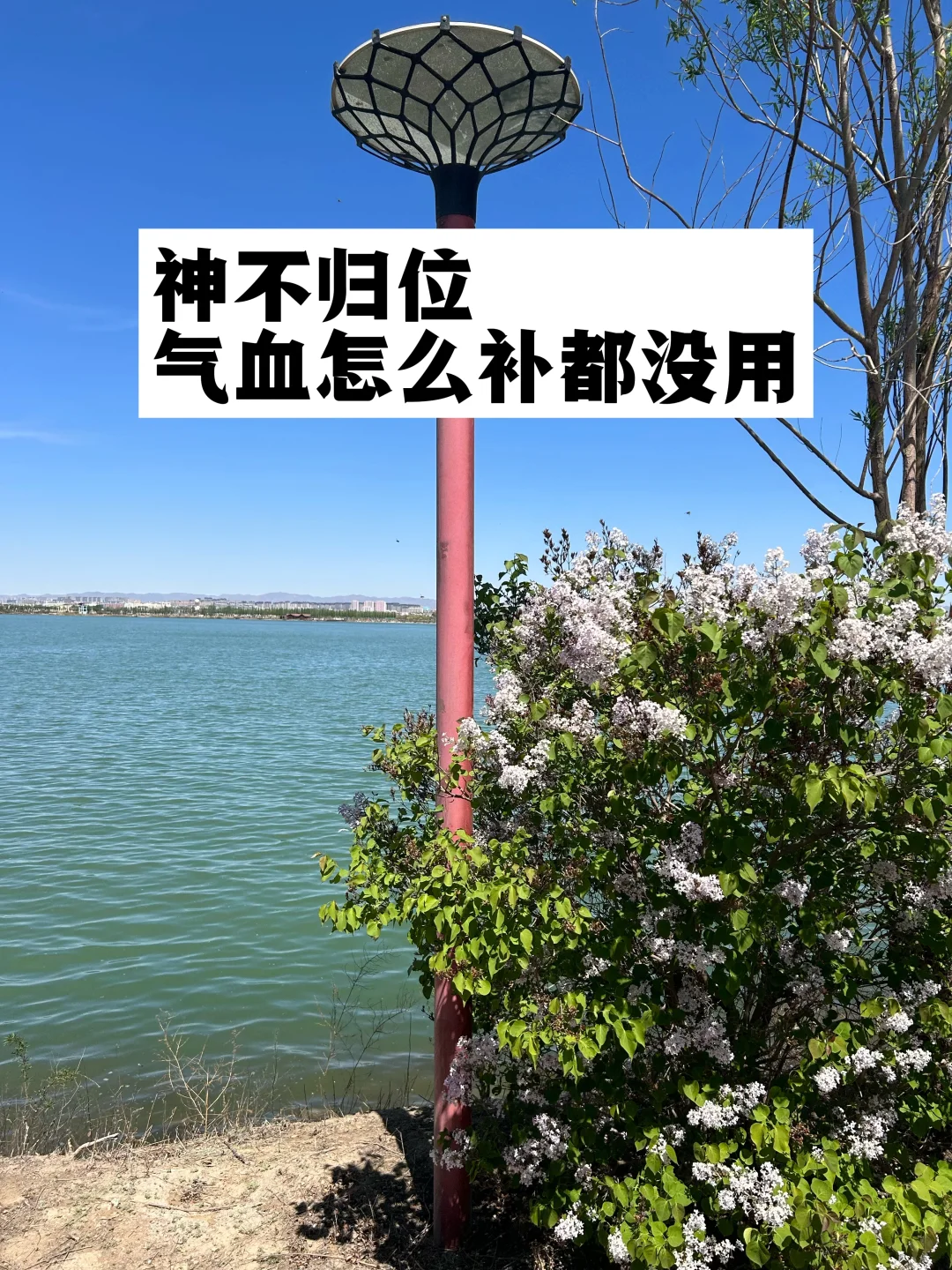 “神”不归位，气血怎么补都没用.