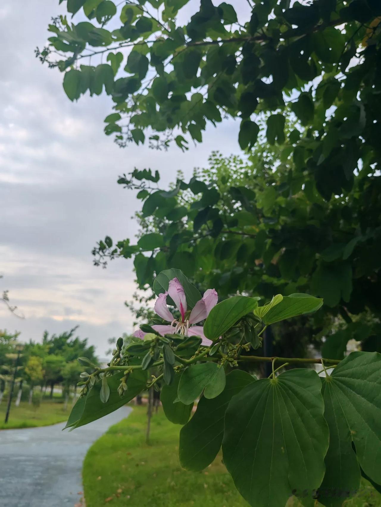 最近在忙一件很重要的事，我也是完全掌控局面后，才有时间复盘这件事，这中间的过程比