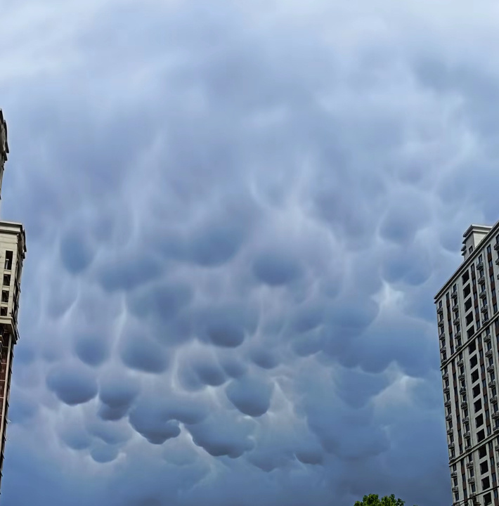 乳状云 特大暴雨学名乳状积云，外形像一团团悬挂在低空的布袋、棉花囊，云层底部凹凸