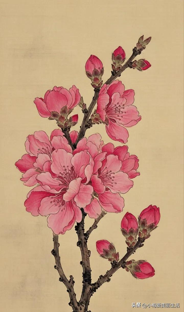 粉花映枝头，春意满人间。