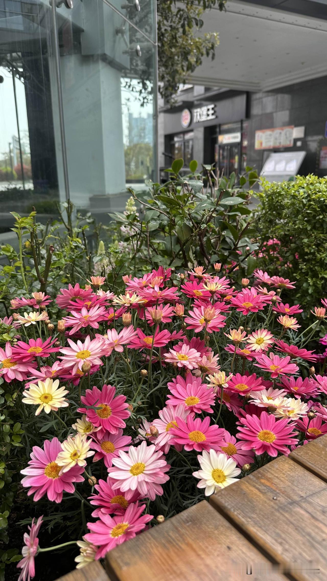 台北人在苏州，你身边有投资致富的亲友吗？说实话这么多年来，我只见过一人，那就是我