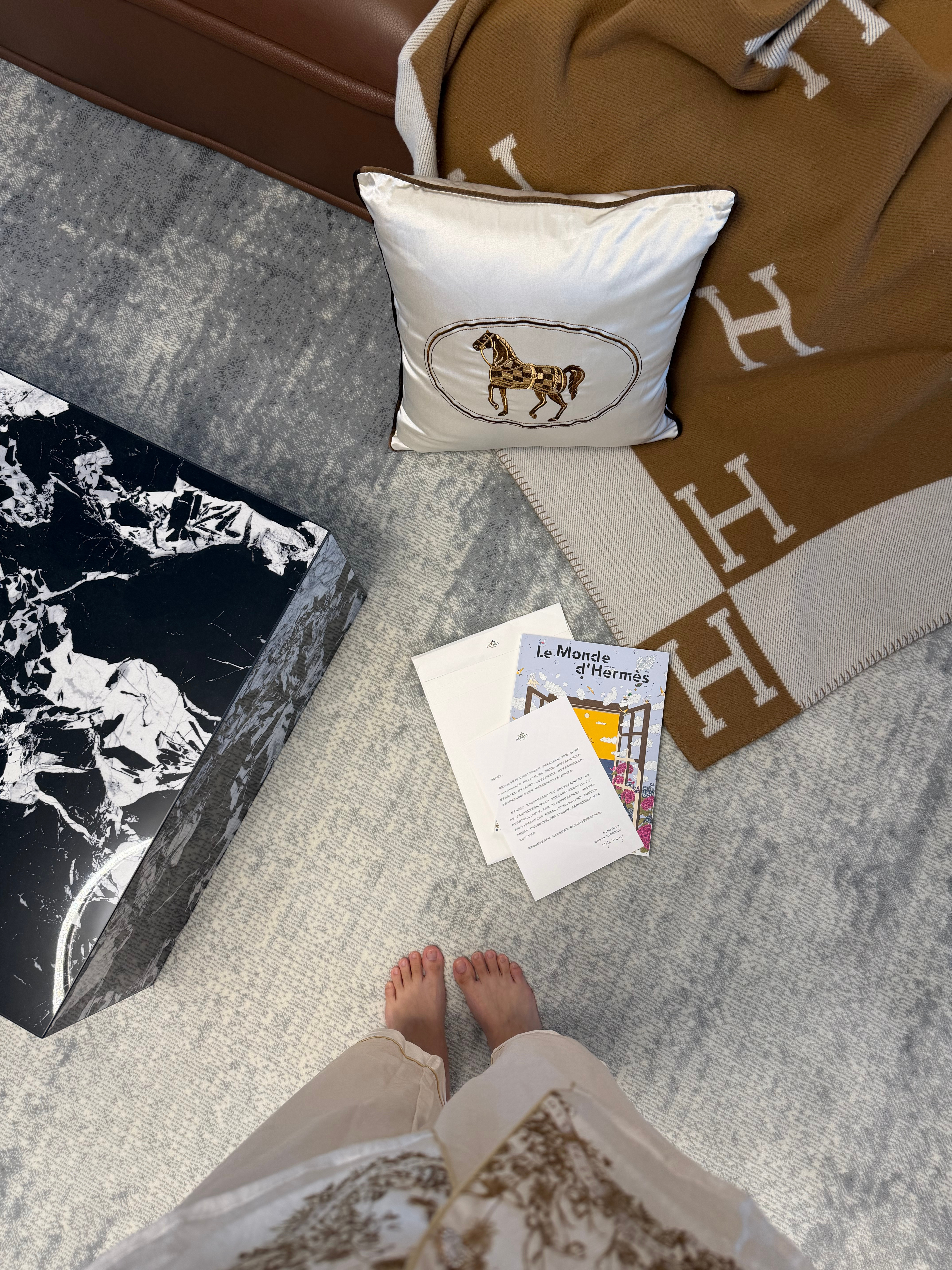 睡醒了在家拆快递📦发现被爱马仕寄了杂志 俗称催款单别说还挺精致有趣的这是⏰我该
