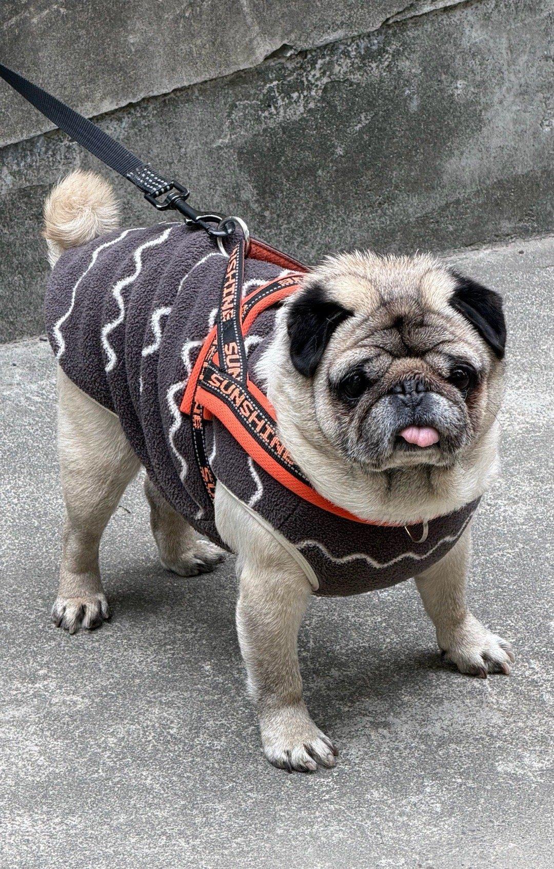 有一种被我挑衅的不服感 