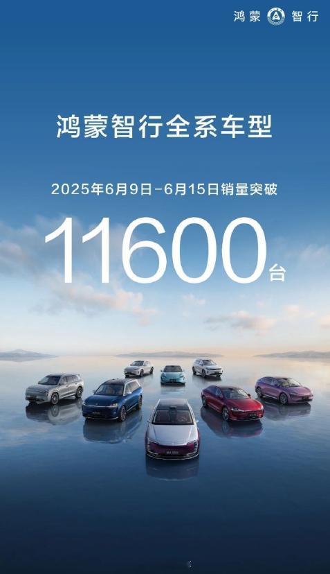 鸿蒙智行全系车型发力，2025 年 6 月 9 - 15 日，销量突破 1160