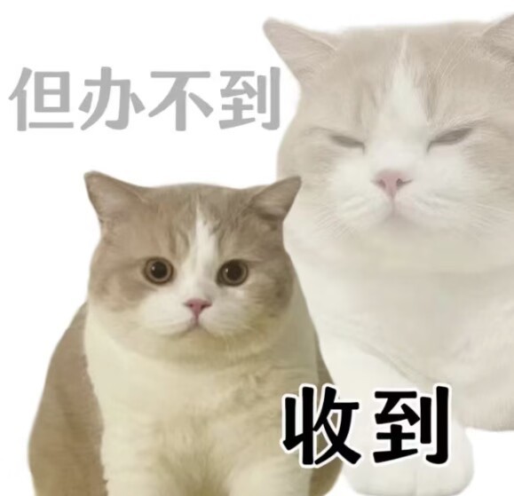 《学校这个地方到底是怎么做到教书的和被教的都这么痛苦的》好想偷偷回复“无气返岗”