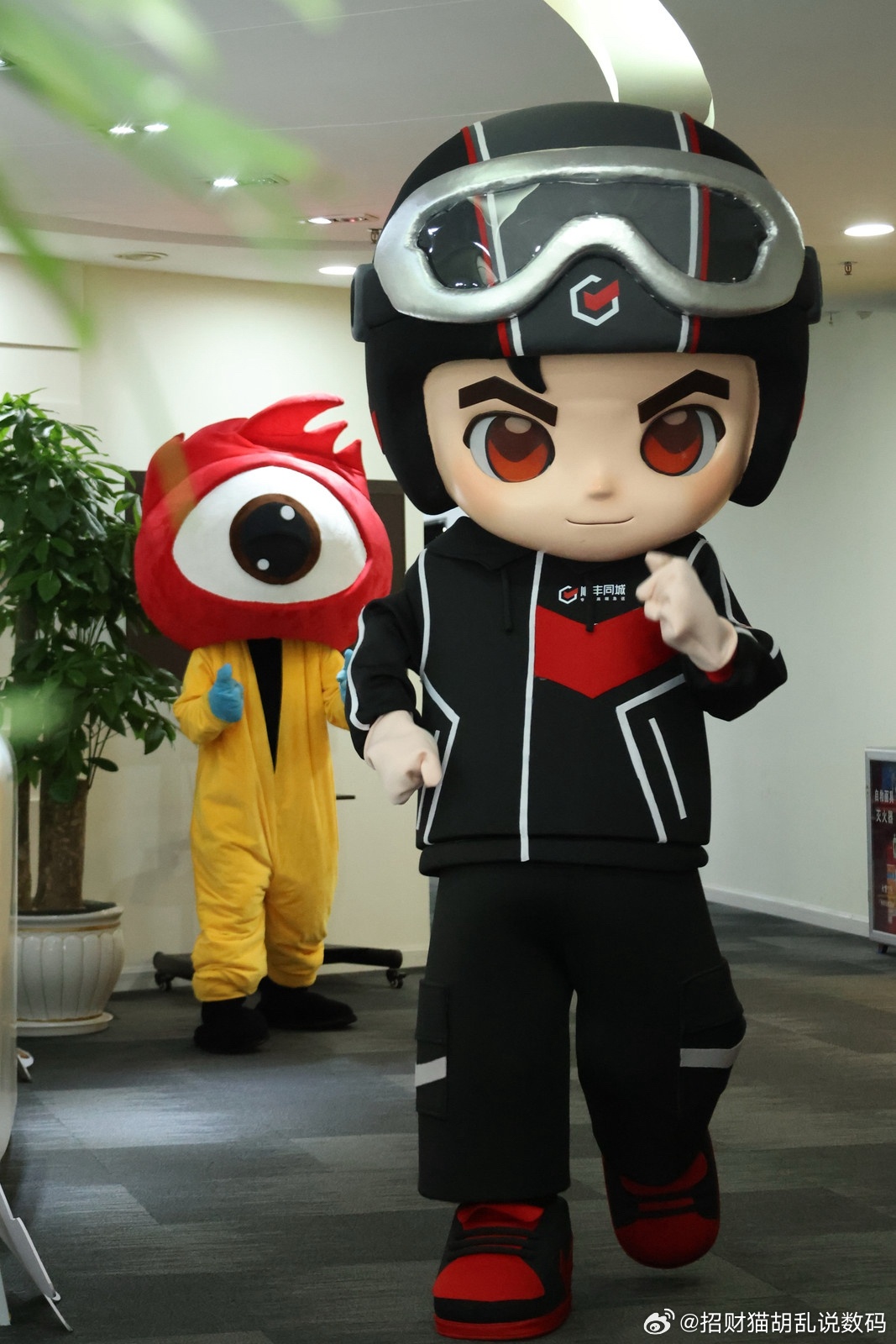 今天被顺丰同城新代言人“同小侠”狠狠刷屏了！全新面孔今天正式出道，居然跑到新浪扫