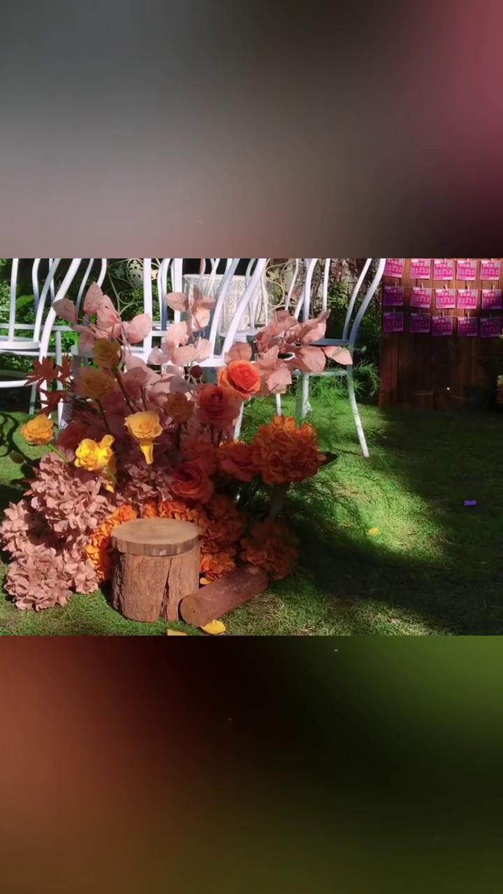 今日们美好。
小包梦乐园。