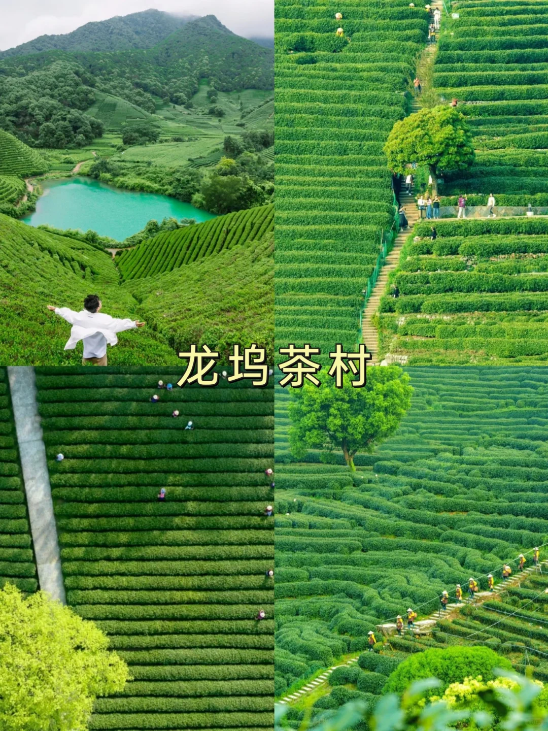 去了杭州8次❗推荐❽条有趣小众的徒步路线