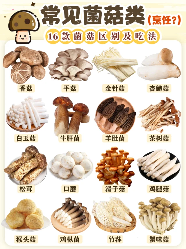厨房干货🔥常见菌菇合集及烹饪做法‼️