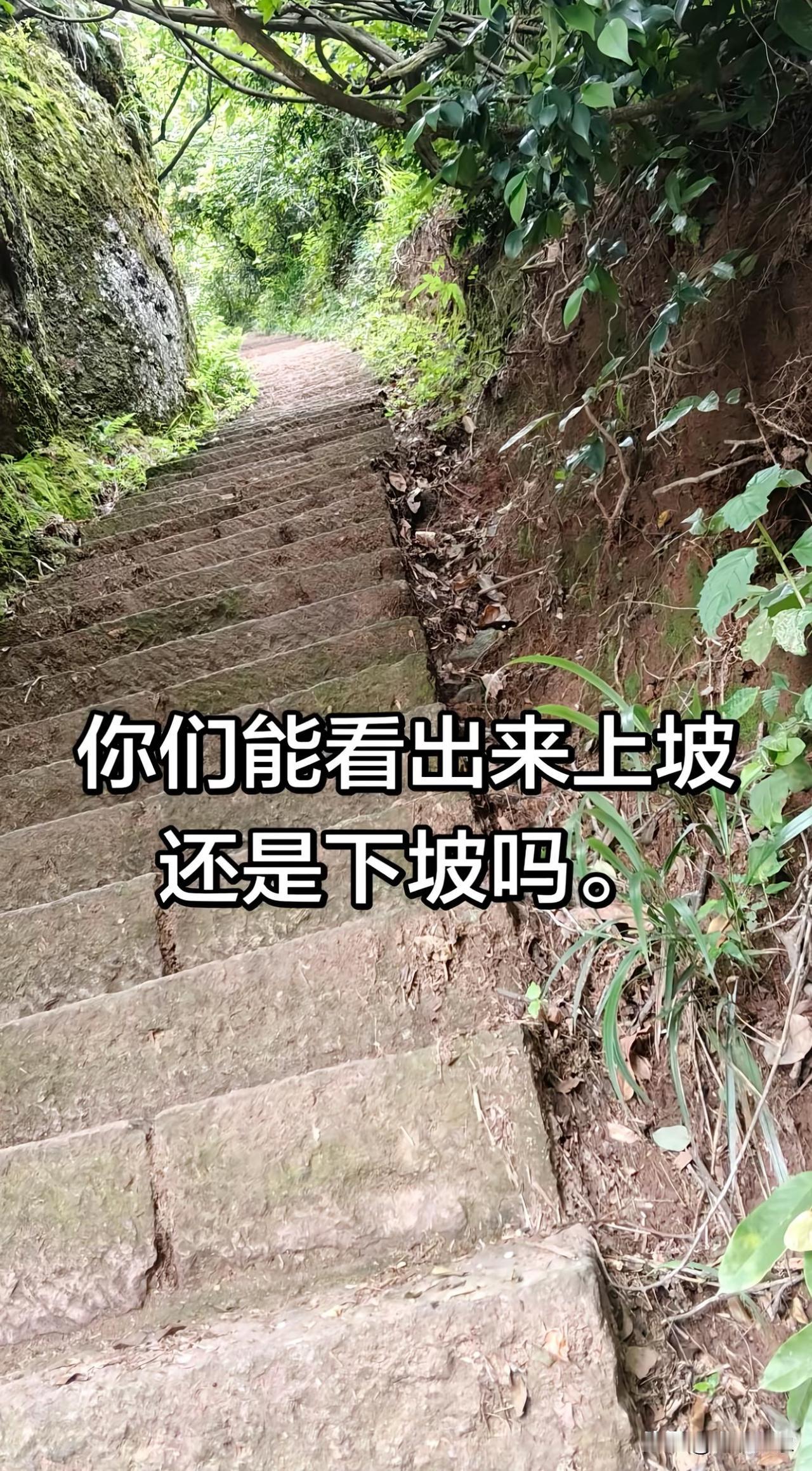 考考你的眼力，请问这是上坡还是下坡？爬山