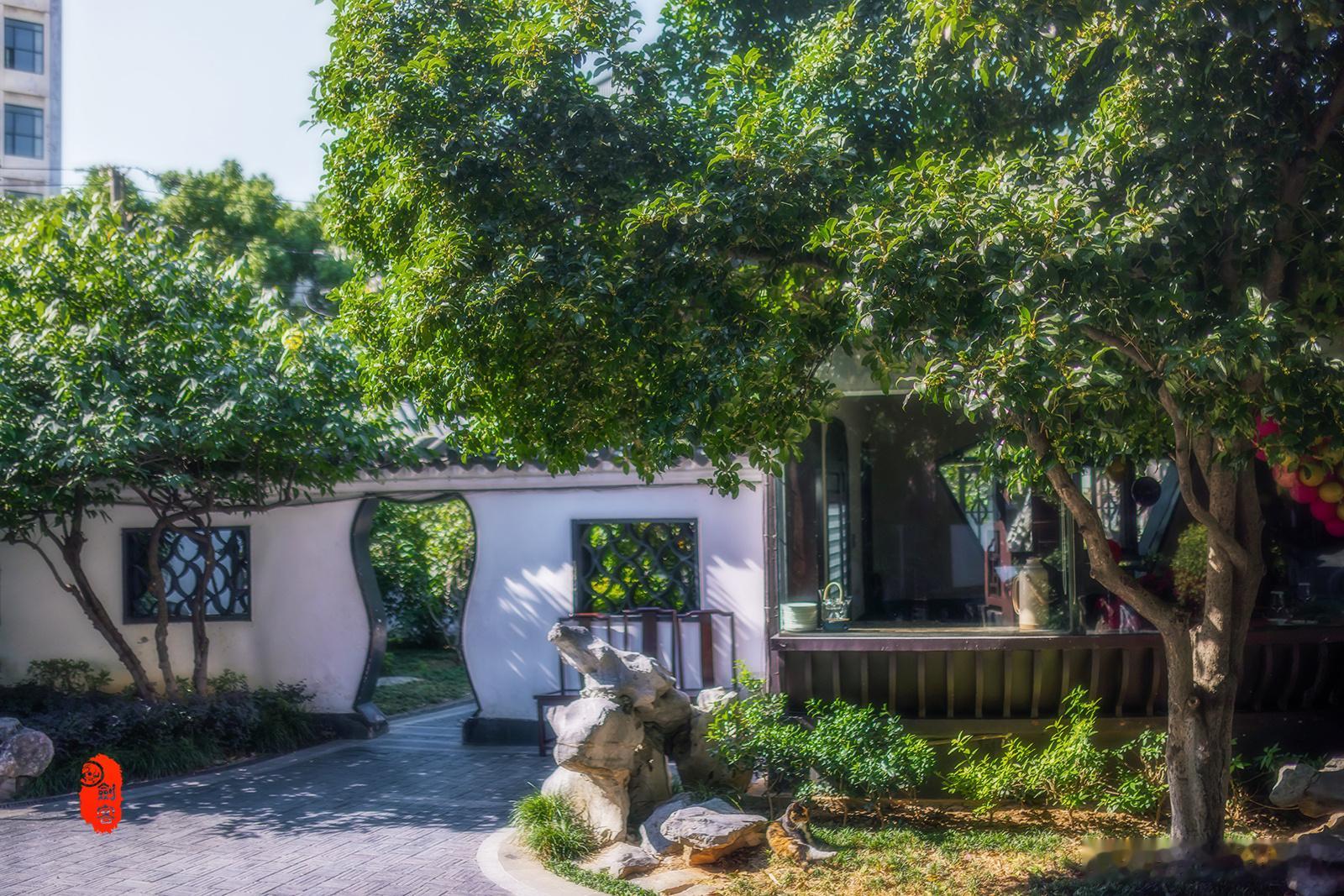 极美南京，金秋十月  满城飘满桂花香，大钟亭·古建繁花桂花香 南京读城记你会反复