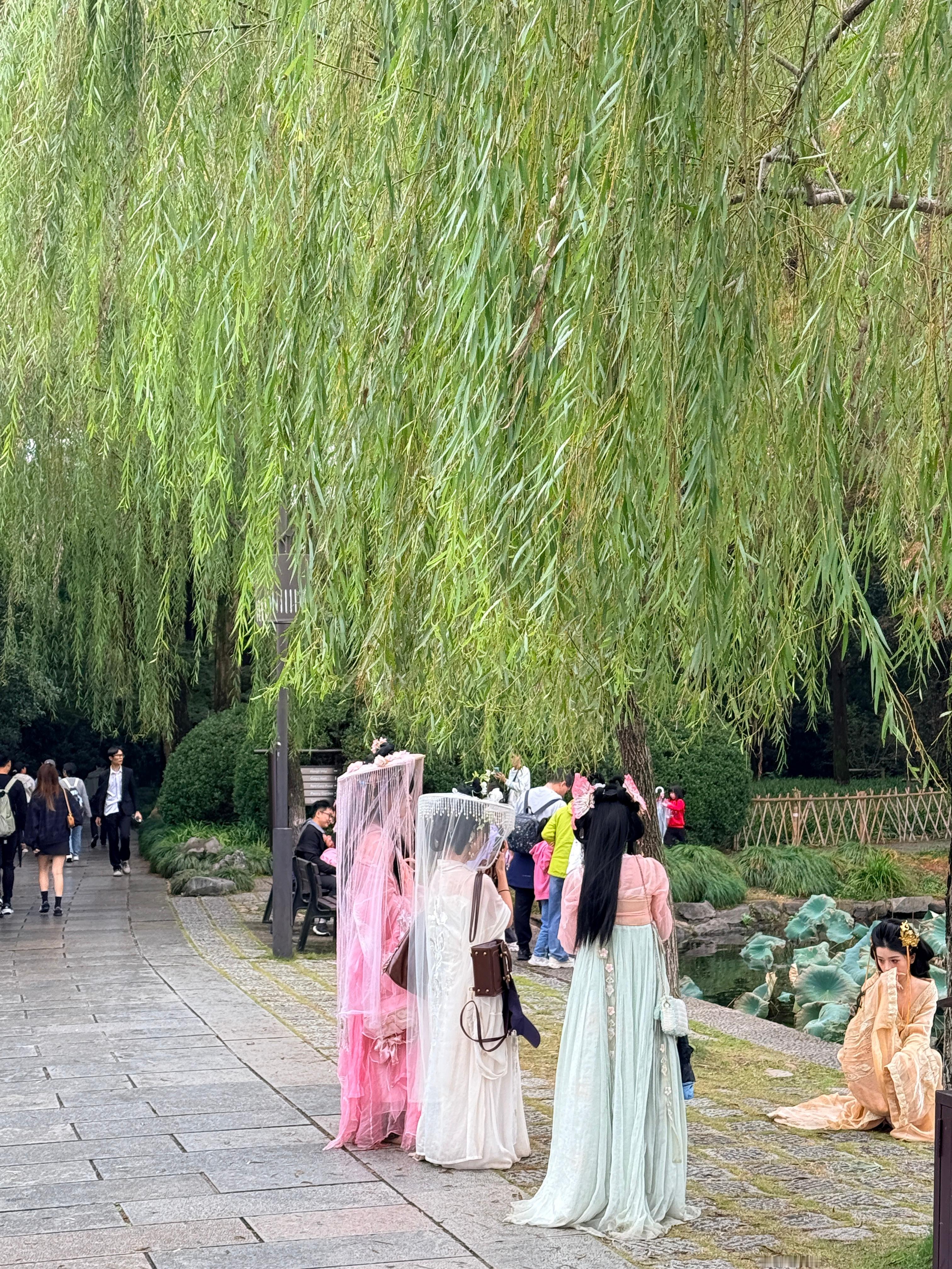 西湖边的神仙小姐姐  ​​​