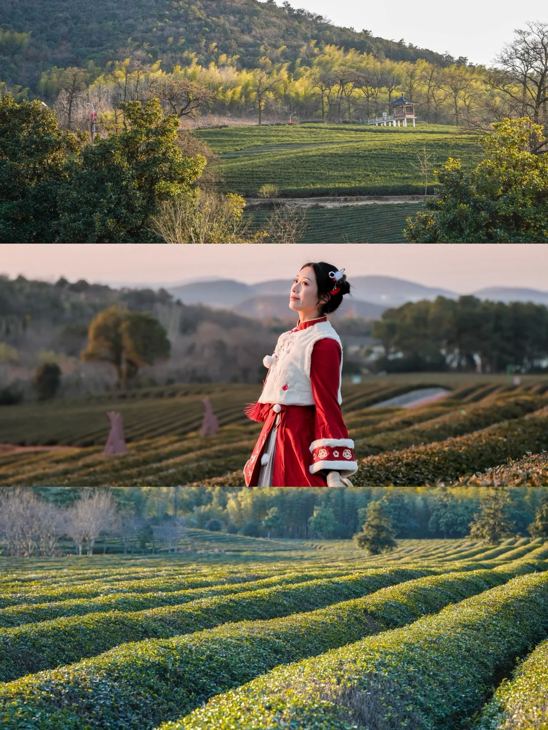 江浙沪自驾1h直达｜春节反向旅行宝藏地‼️