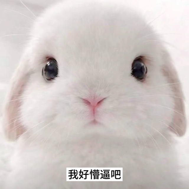 BLG怎么比iG 还好打我们iG还撑到了决胜局 ​​​