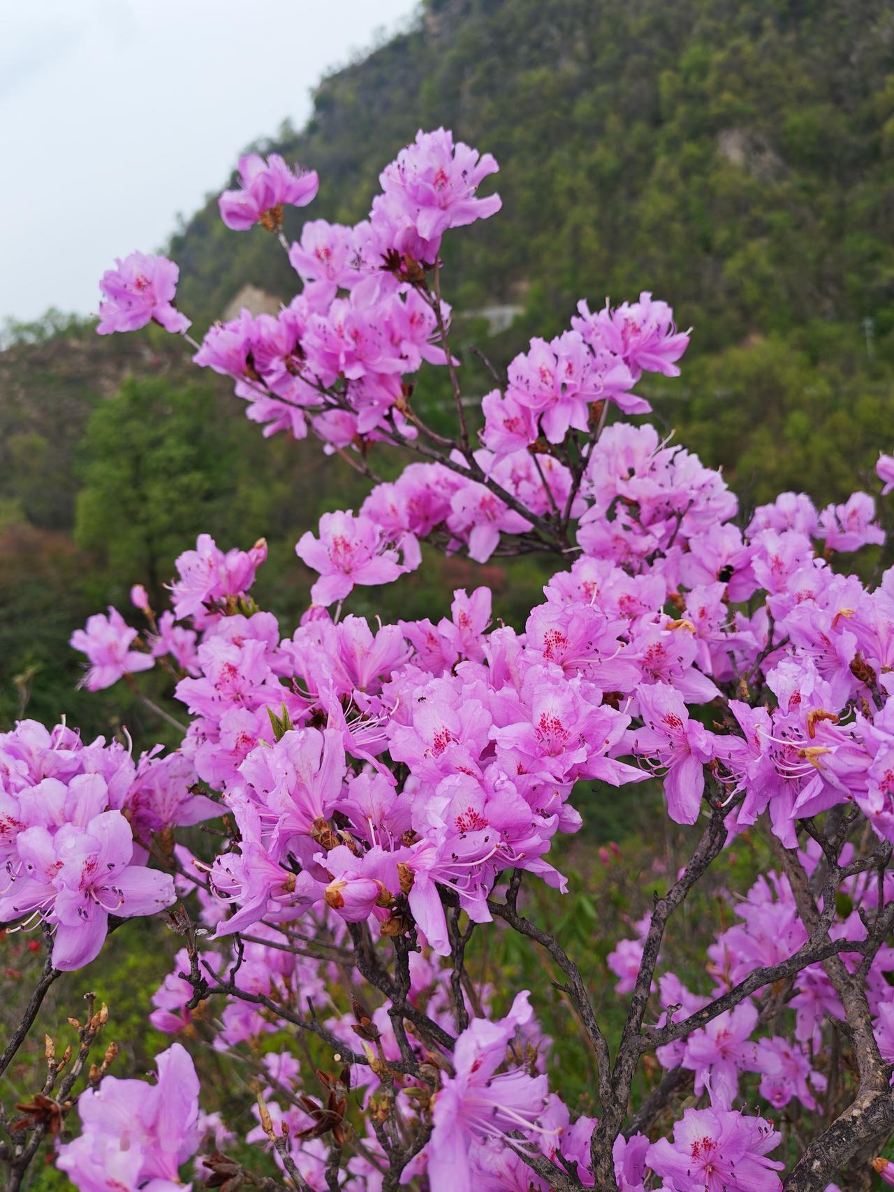 人得有
逆风翻盘的狠劲，
也得有
从头再来的韧劲。

外人
越看不起，
咱越要