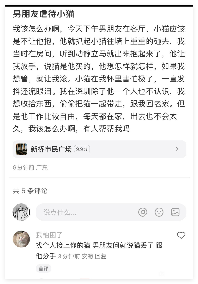 虽然猫不是我的也不是我买的，但是我就 不能管了吗 