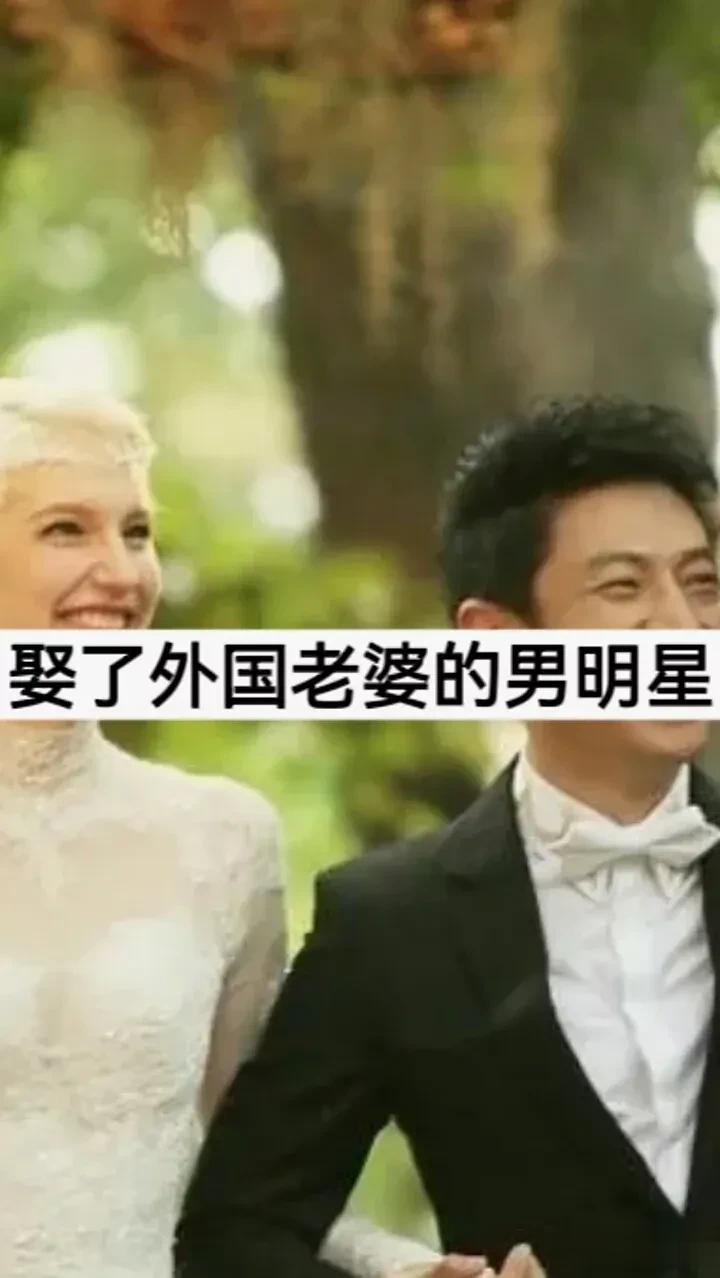 娶了外国老婆的  男明星