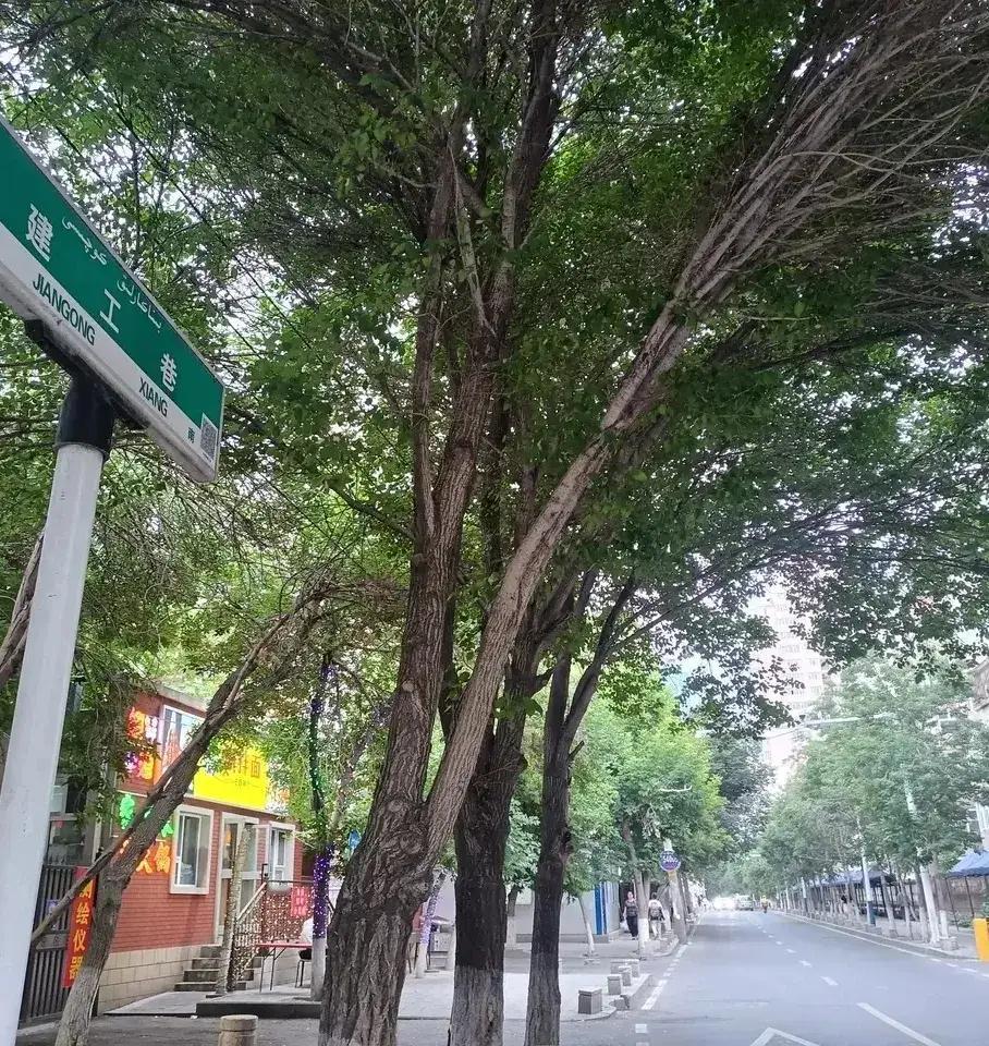 建工巷

那是个深冬，外面飘着白雪，气温接近零下20℃。

下班前，我给老马打个