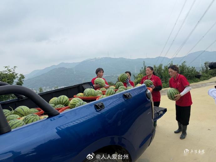 【玉环爱心西瓜的双向奔赴 千余斤清凉，传递玉环温度】7月2日，玉环玉城街道爱馨公