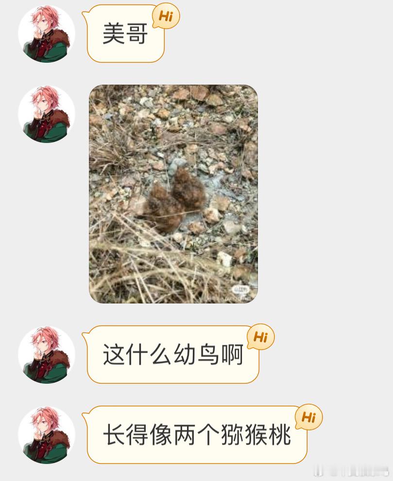 夜鹰的宝宝确实像猕猴桃哈哈它们的窝就在地面上，甚至比珠颈斑鸠还要简陋 ​​​