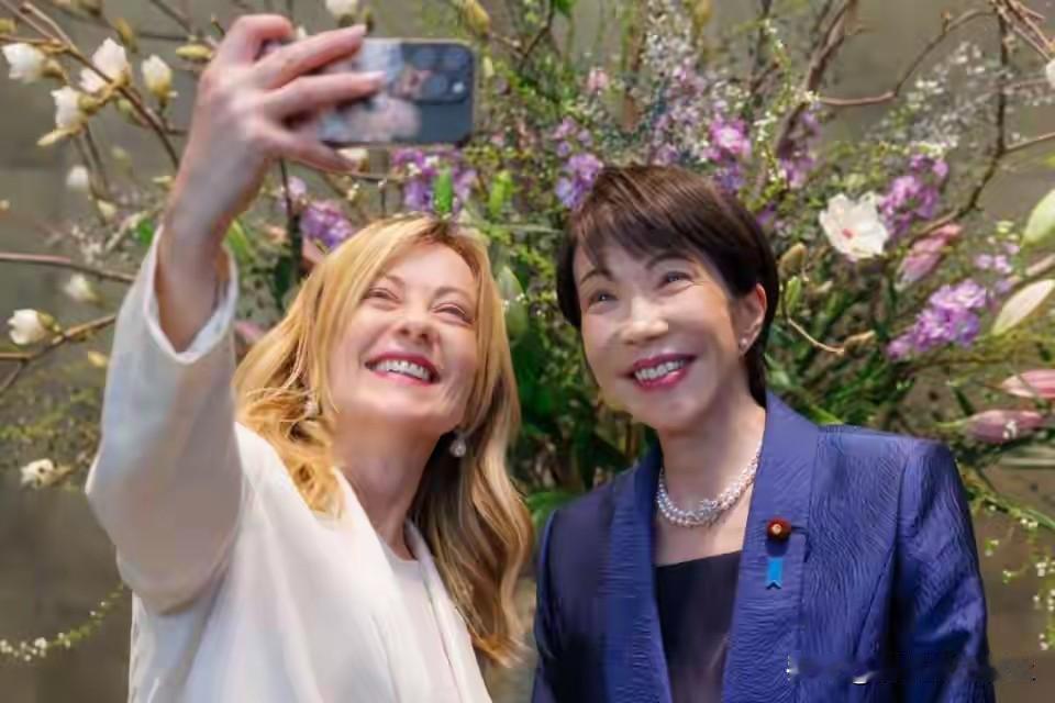 两个女人两台戏！

西方七国里面的两个女统领都不是善茬，梅洛妮刚到知天命年龄，情