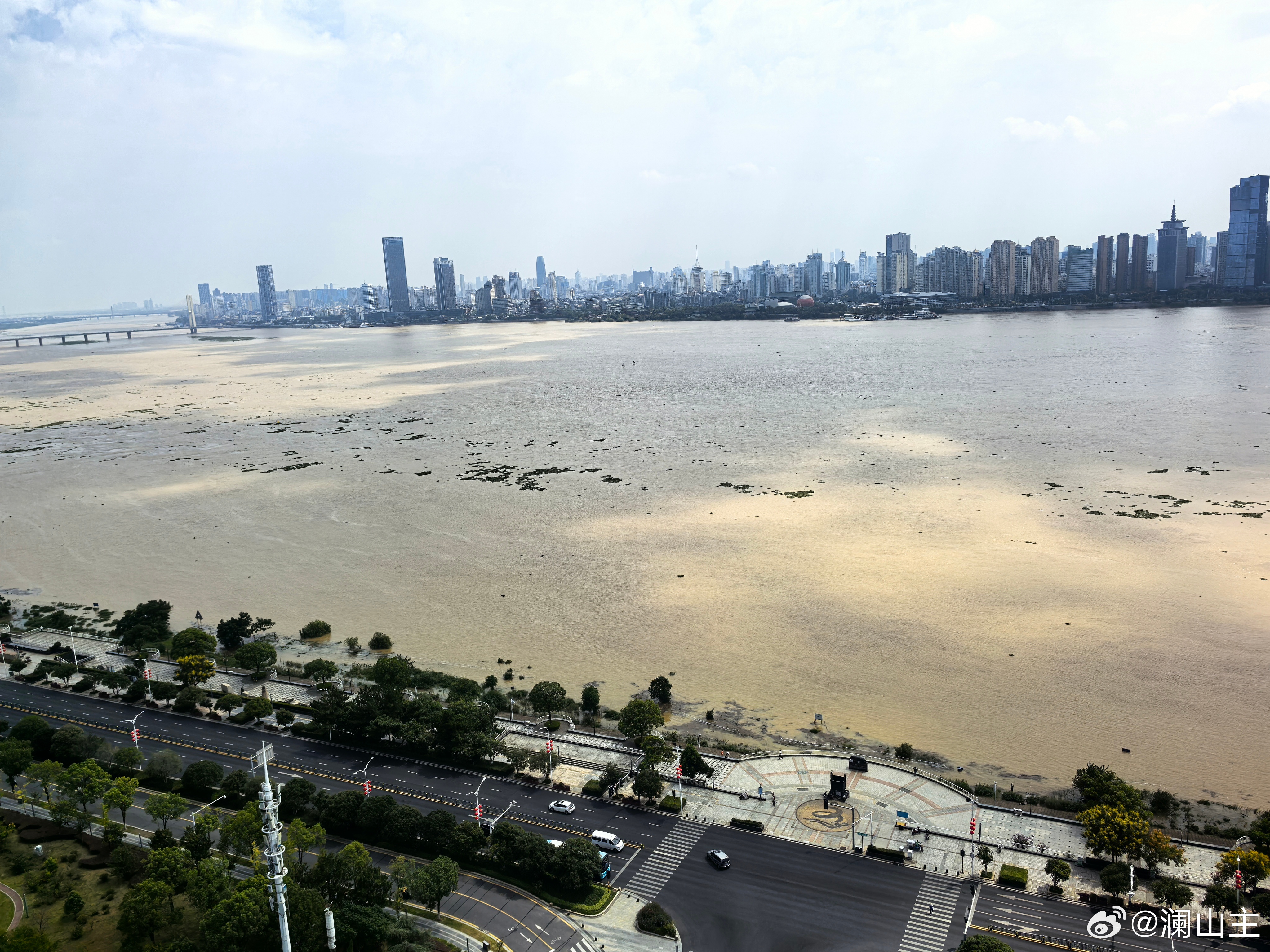 赣江涨水，红火蚁都到两边公园漫步道来了，一不注意，就爬脚上，咬人，放毒，奇痒无比