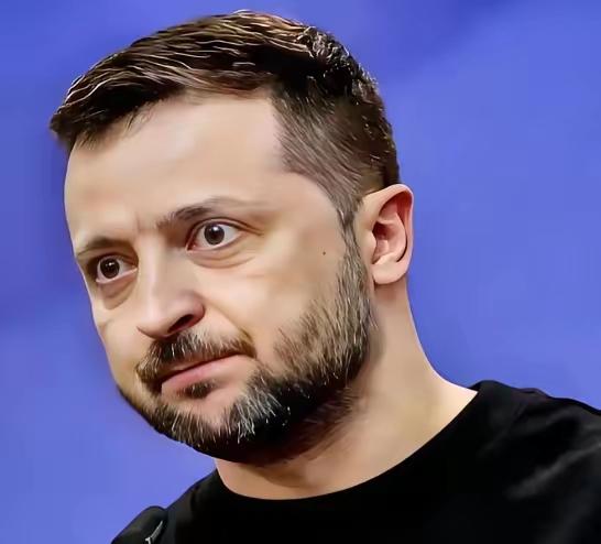 估计现在泽连斯基有点懵！他在战火里硬扛了快四年，心里揣着一个坚定的念头：只要进了