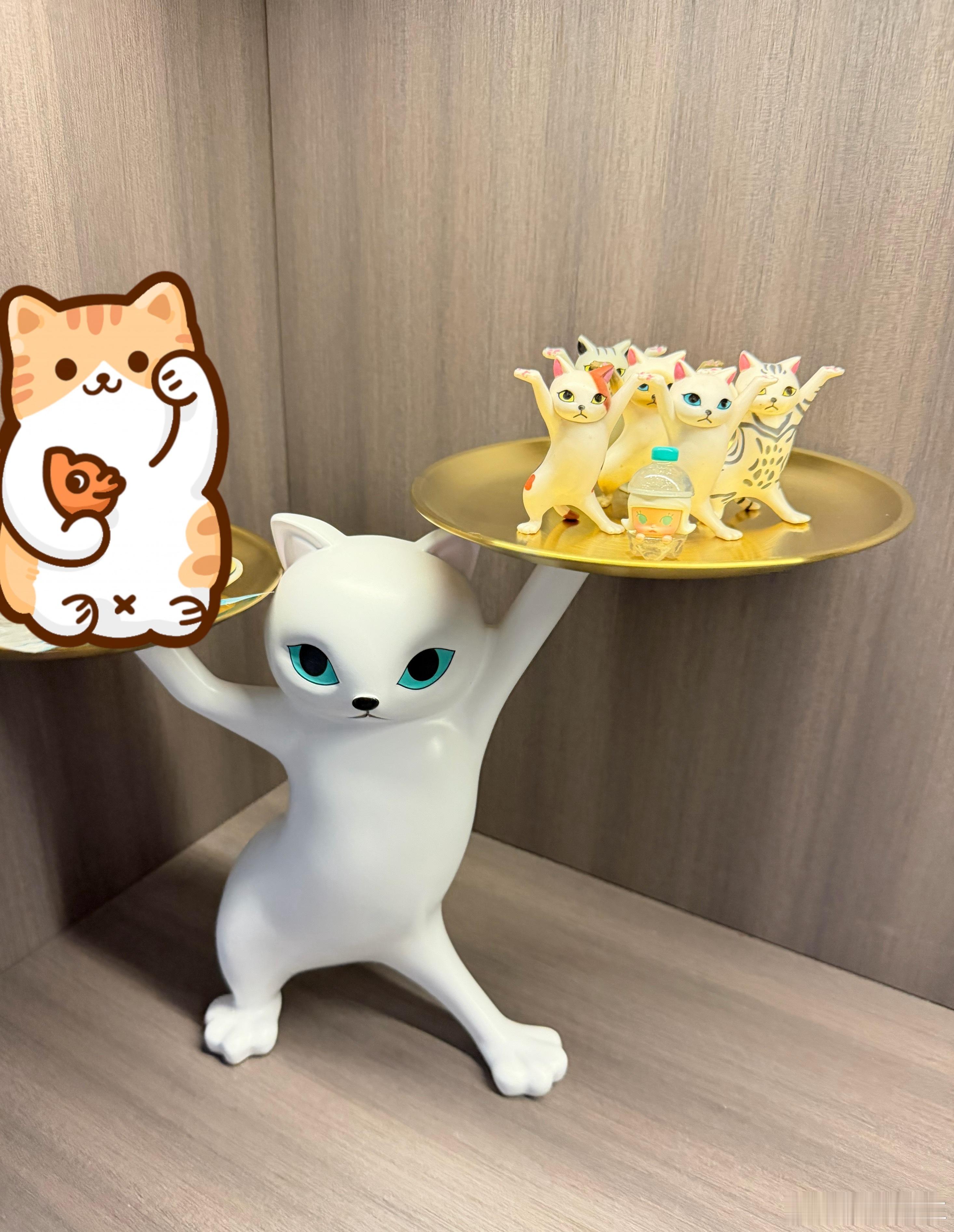 又买了一个一模一样的，再给我cèi了，我就真吃猫肉了。 ​​​