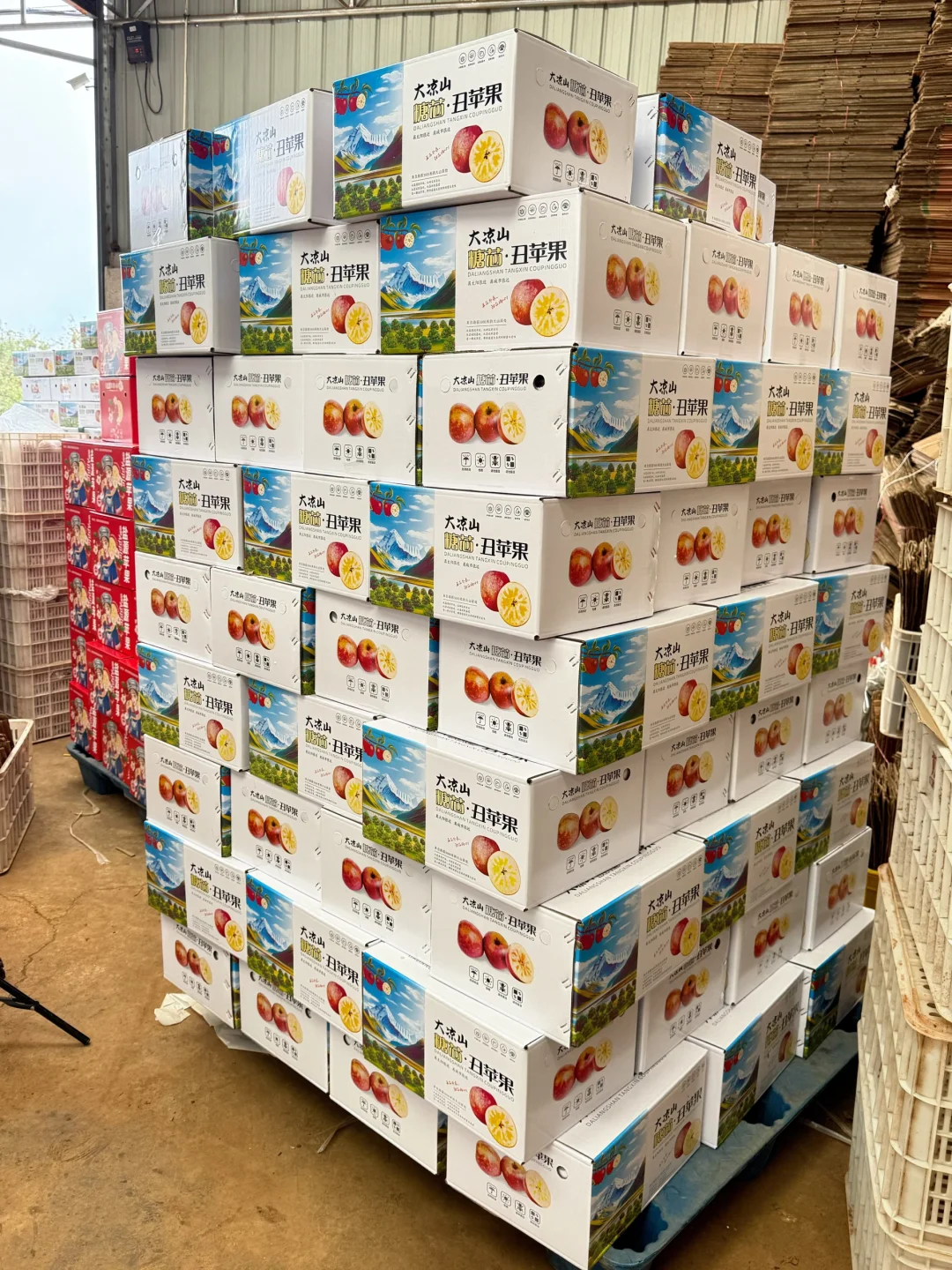 吃正宗糖心苹果请认准这个包装！