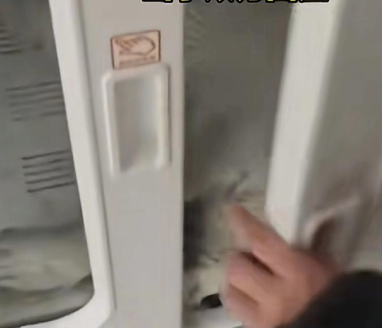 宠物狗可能对其他人来说无所谓，但是对很多大部分人来说已经成为了家里的一份子
浙江