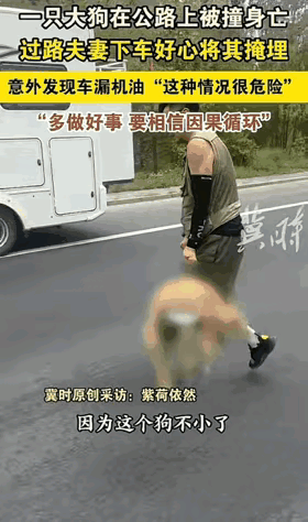“彻底无法解释了！”内蒙古，一对夫妻正在公路上驾车行驶，忽然，他们瞧见在公路前方