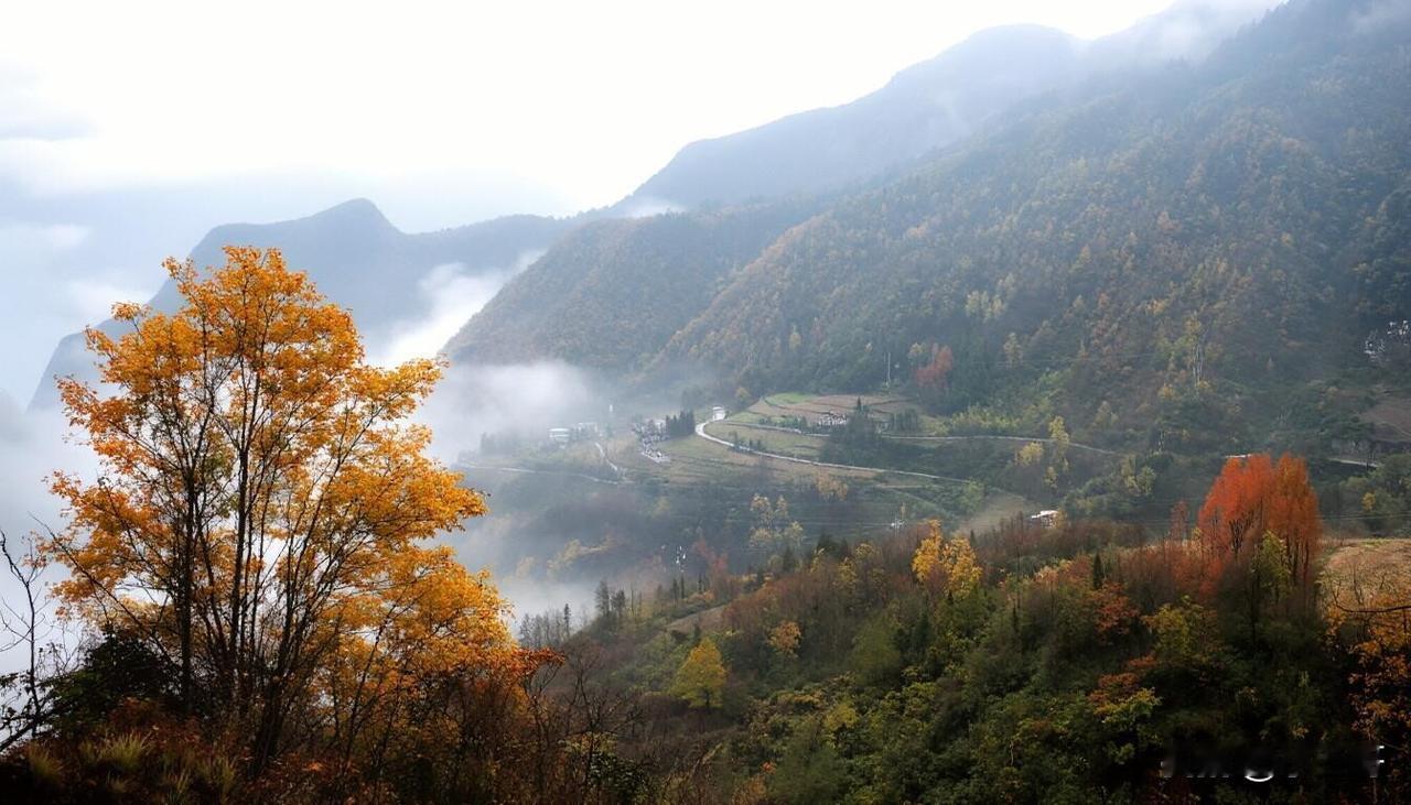 上班时，
挣钱才能活着；

退休后，
活着就是挣钱。

不是吗？