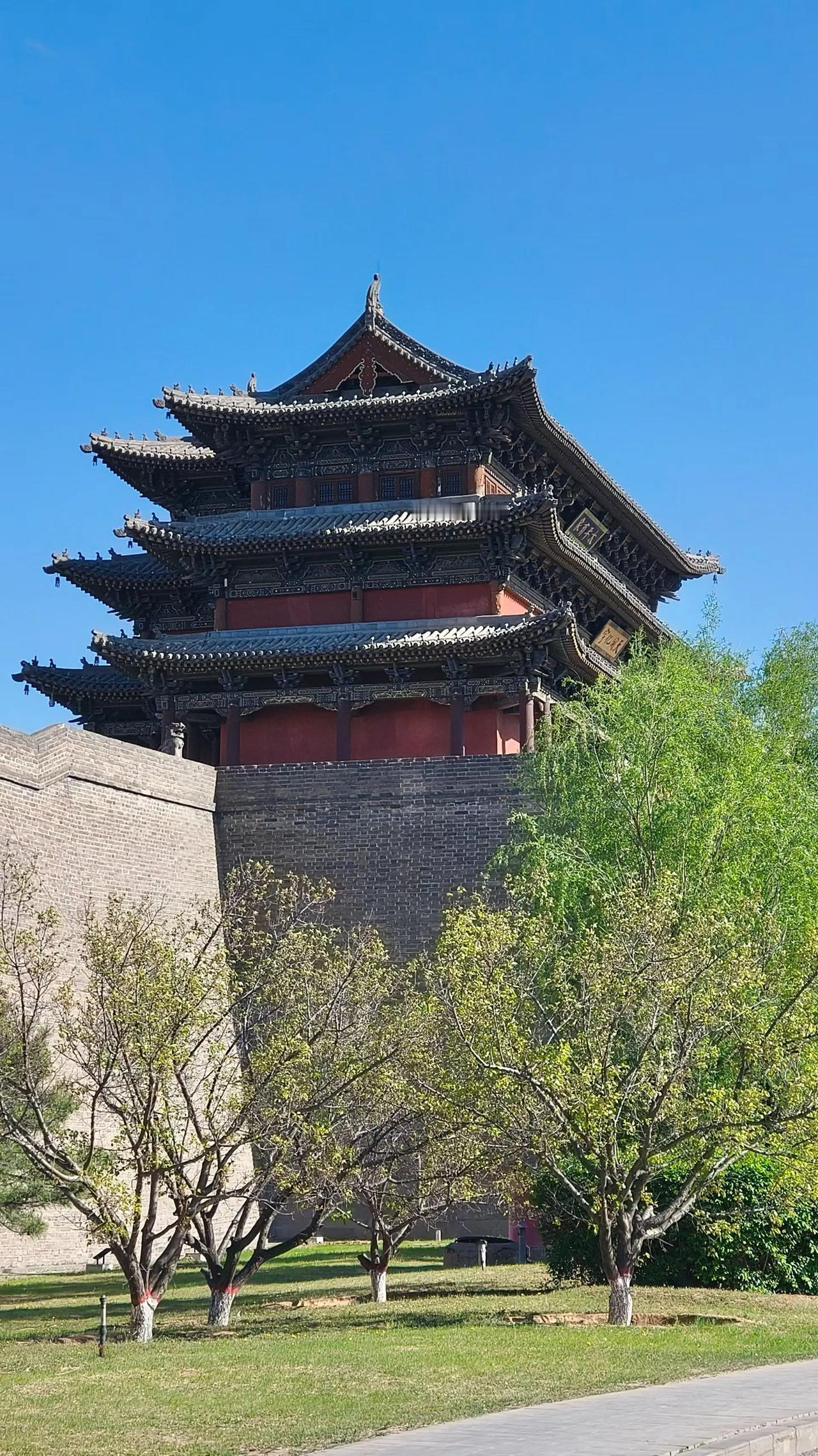 分享你手机中的花花草草