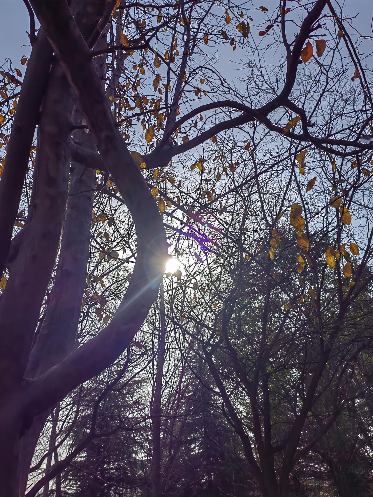 宋献策本是一走江湖者，经牛金星推荐，献上“十八子，主神器”之谶，只是为讨好李自成