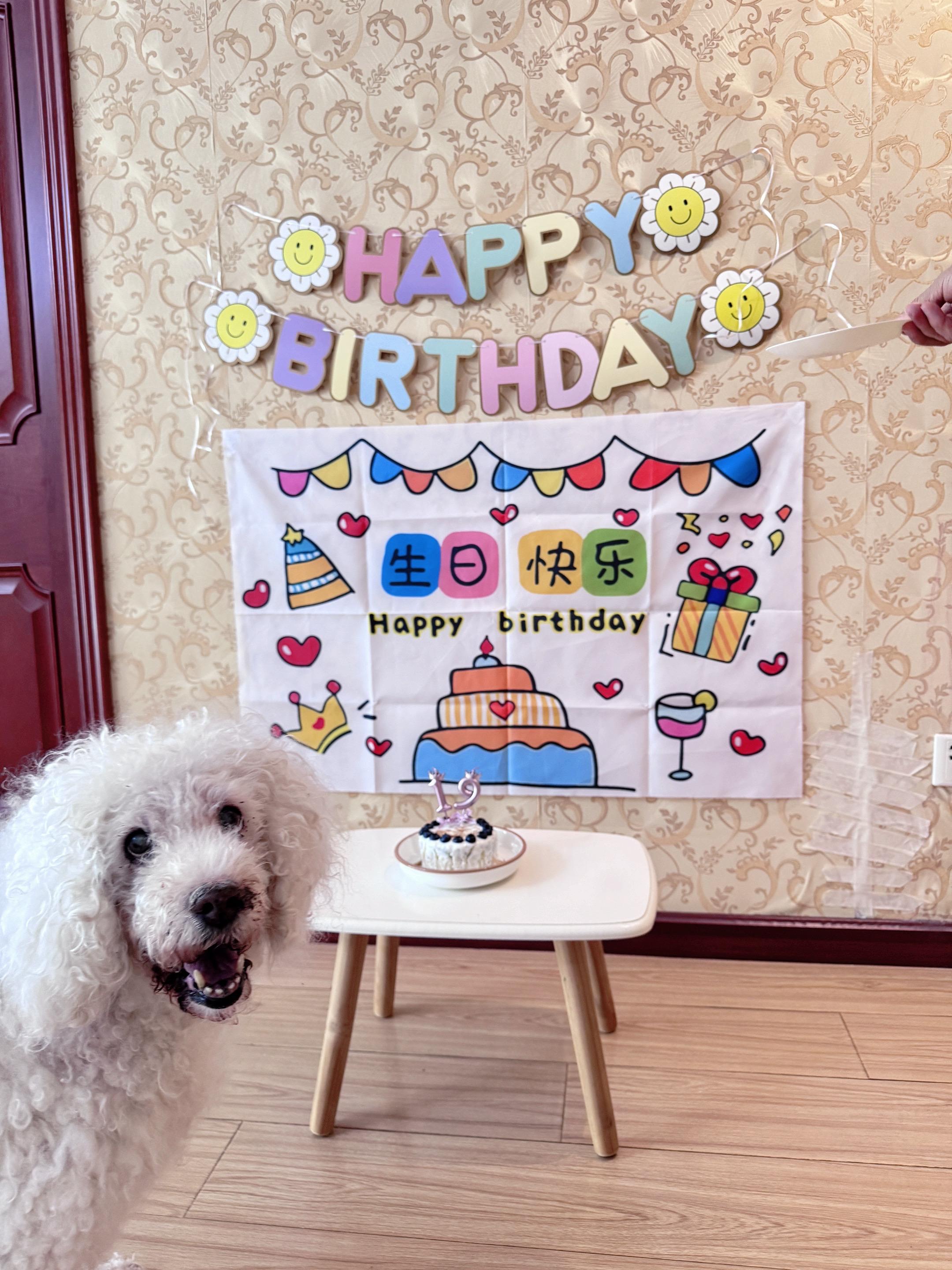 我们哈里19岁啦，老baby棒棒哒！