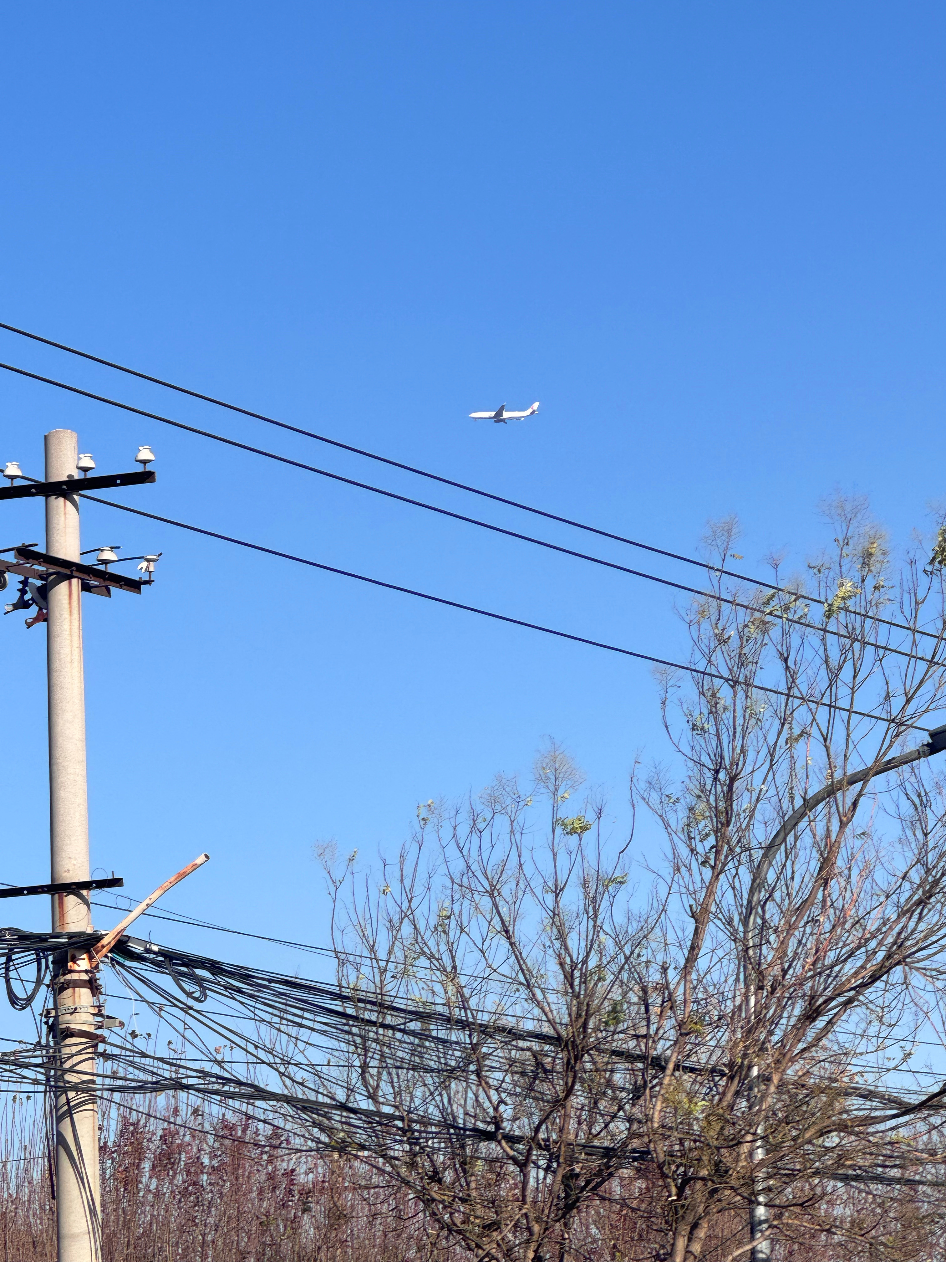 北京大风降温，大家多注意保暖呀☀️