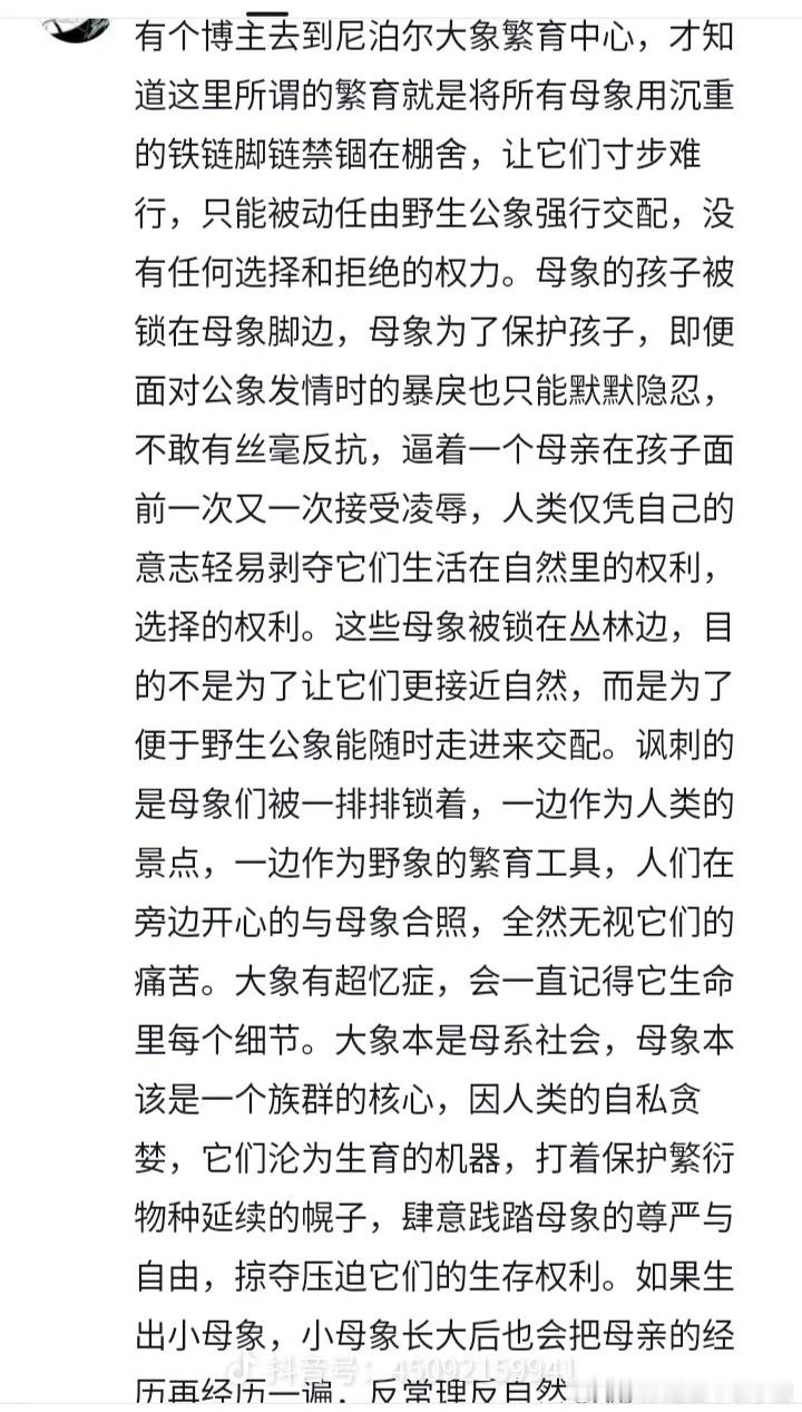 看的好难受 