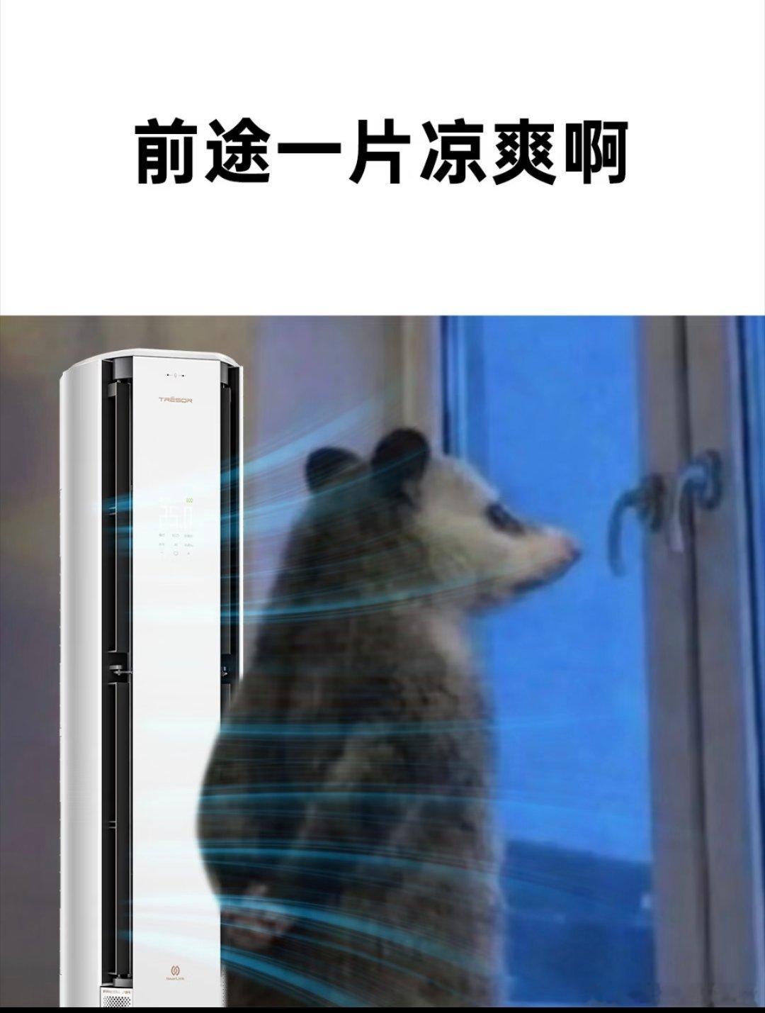 女子称44岁在阿里工作22年被裁为什么阿里每年都裁员，怎么还有10万多员工？因为