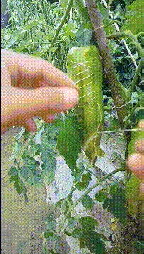 还能抢救一下