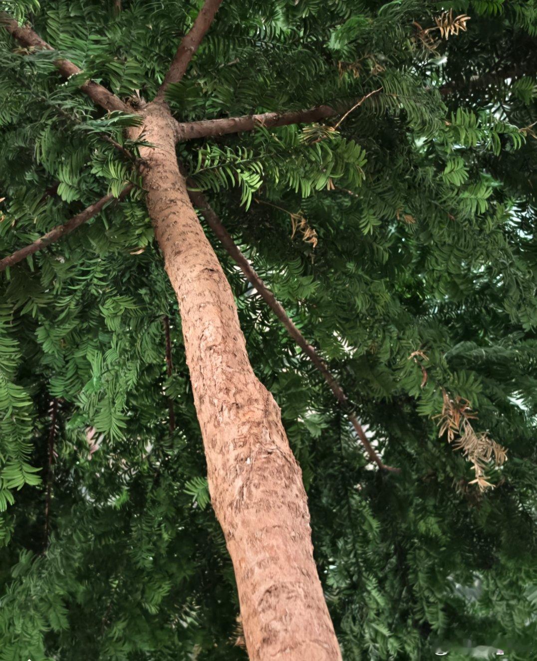 原来iPhone相册这么实用  手机功能很强大，突然感觉自己用到的很少，现在才明