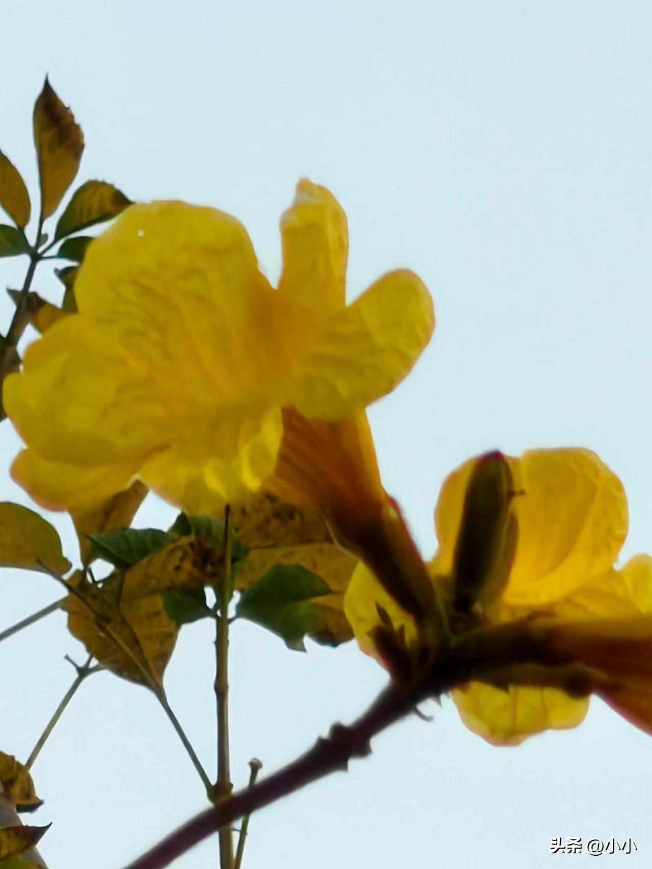 一个同事的话想得挺通透的，主要是另外一个天天抱怨儿子儿媳妇不干活，不挣钱，申手要