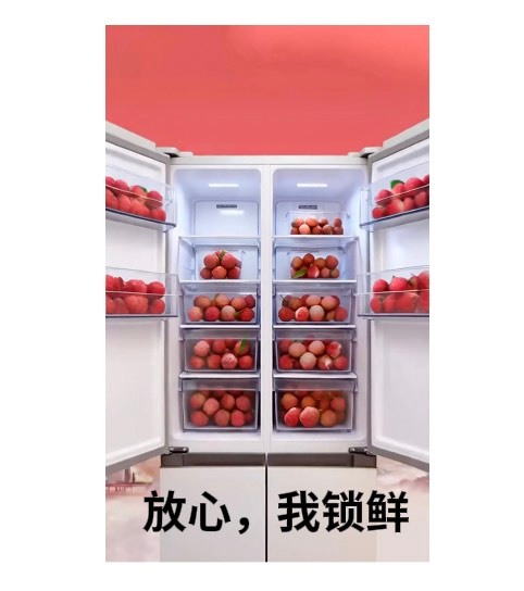 珠海荔枝鲜到西安 格力荔荔鲜科技锁住荔枝本味，跨越千里留存贡荔风味，传承千年鲜果