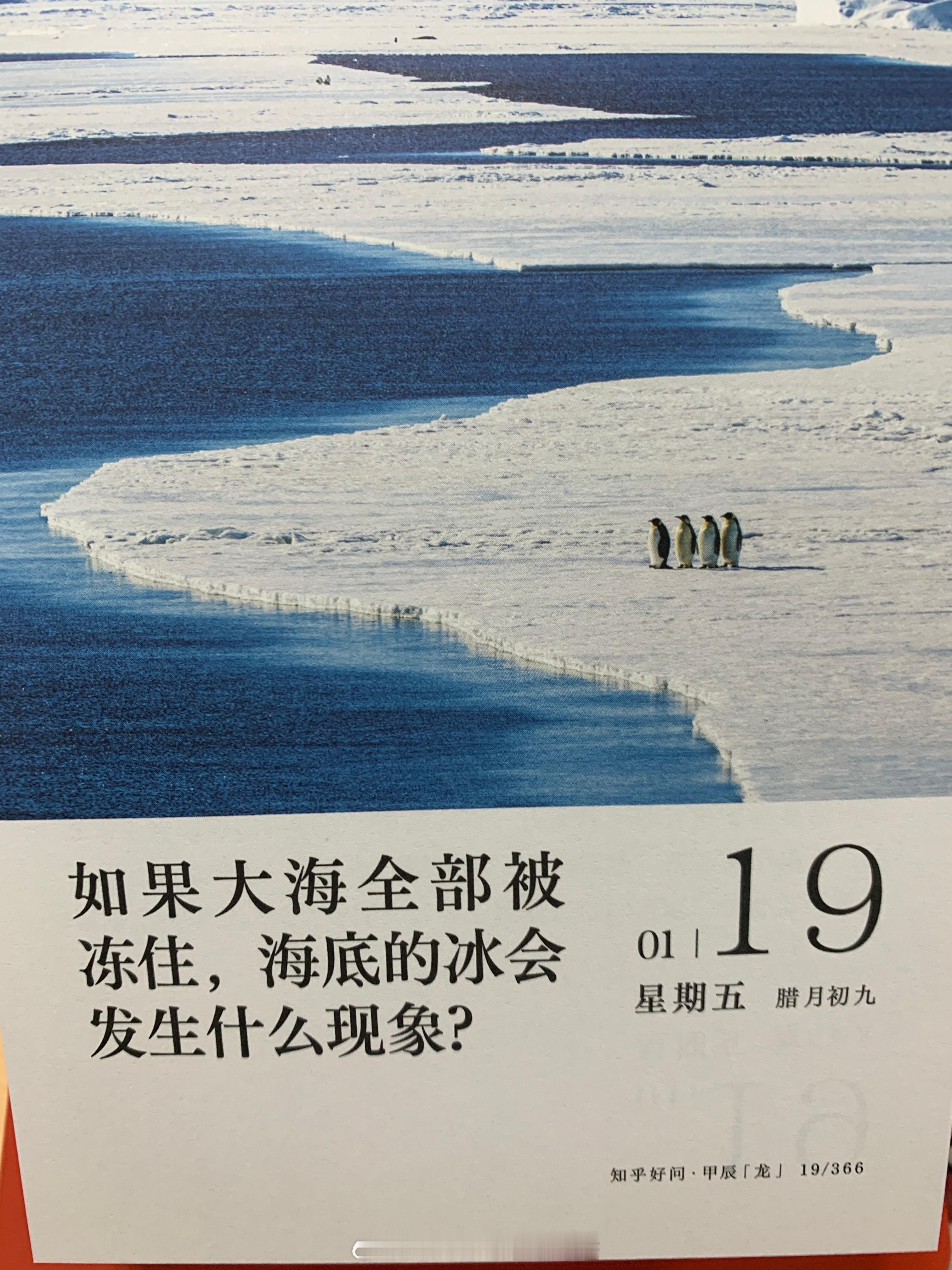 早安朋友们～图上这个问题的答案[doge]，你知道嘛～ ​​​