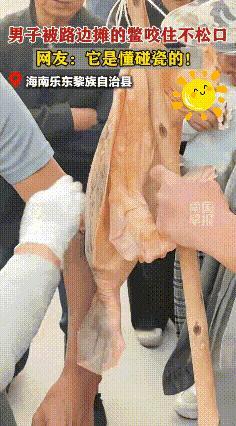 “万万没想到！”海南，一名男子走在街上，突然感觉手臂被什么东西给咬住了，十分疼痛
