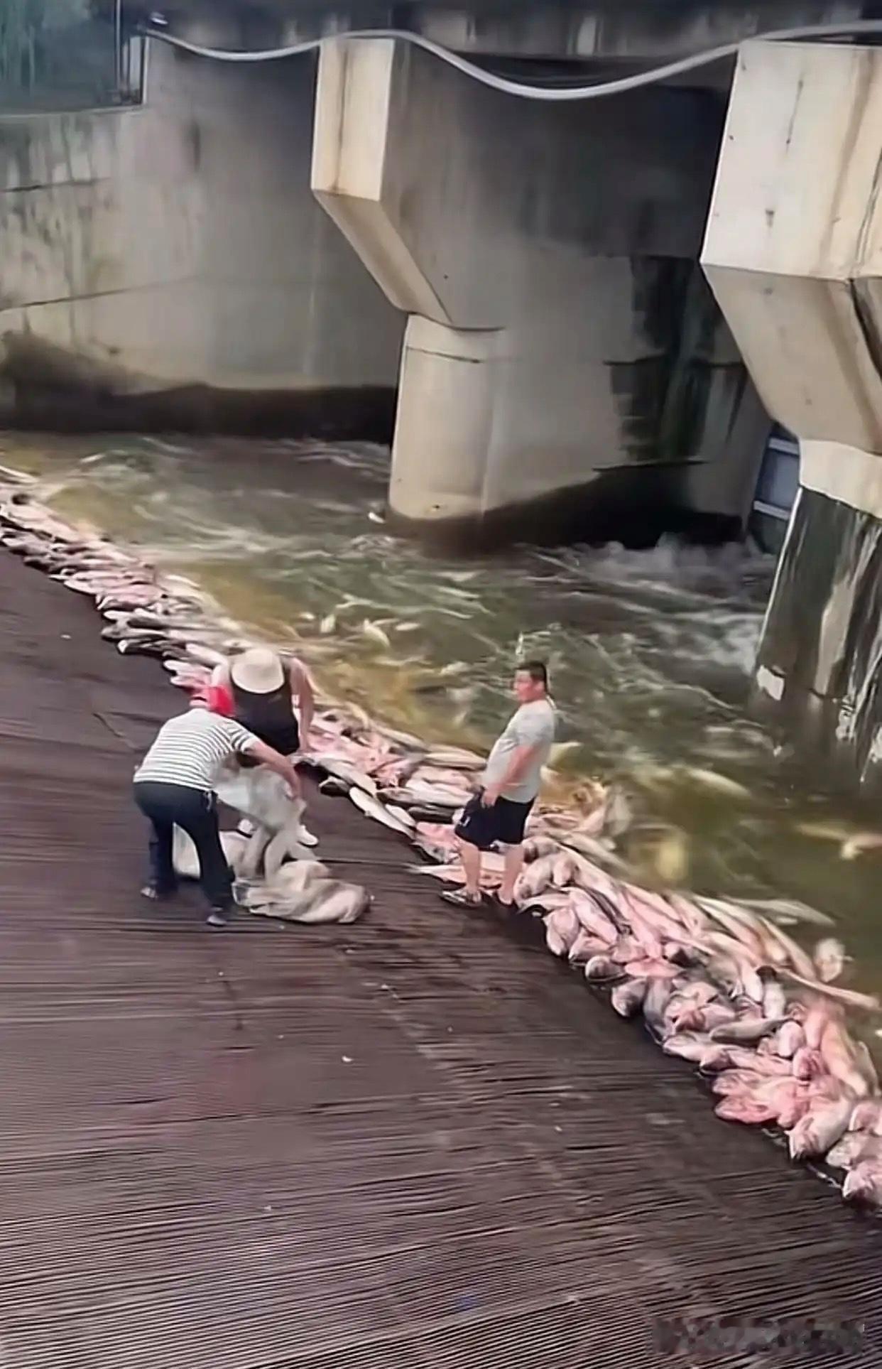 这个场景，我连做梦都不敢做。 ​​​