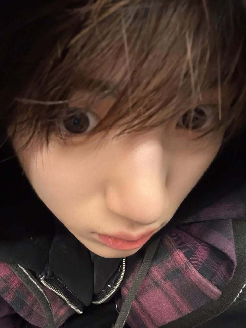 -咚咚咚！妈咪快开门，我是猪猪