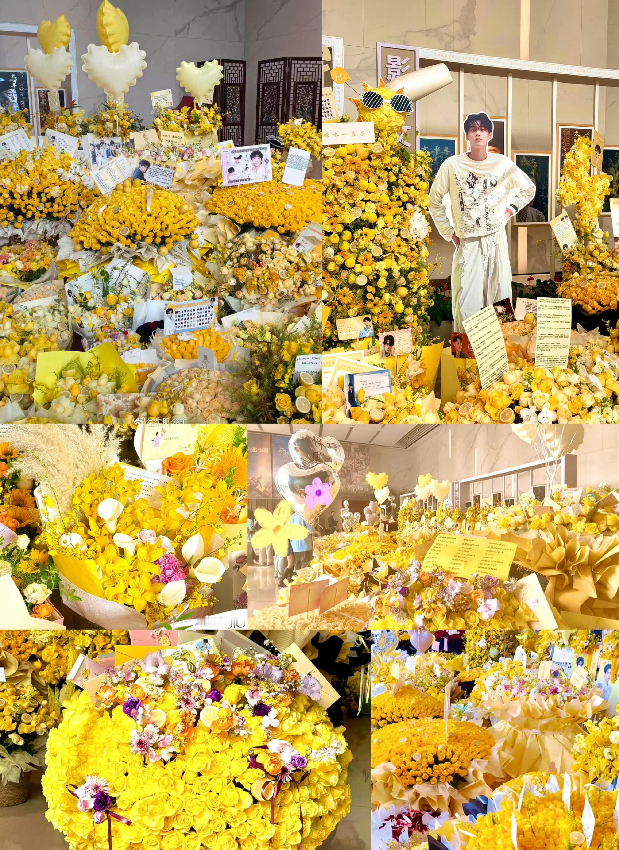 内娱明星应援色 田栩宁的栩光金星色就是最美的呀 田栩宁跟柠檬水天下第一配 嘿嘿⚡